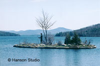Meredith, NH - Indian Island - Spring